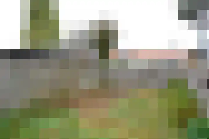 Lindenlaan 36 Baarn thumbnail 4