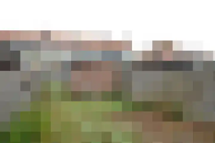Lindenlaan 36 Baarn thumbnail 5