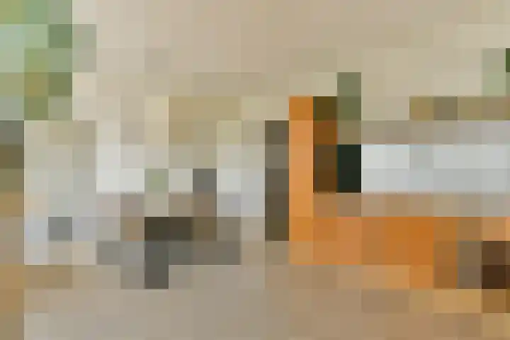 Lindenlaan 362 B Amstelveen thumbnail 11