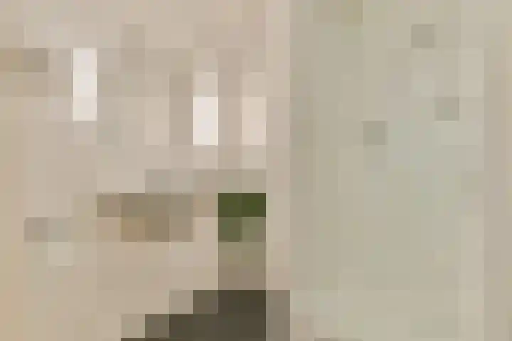Lindenlaan 362 B Amstelveen thumbnail 17