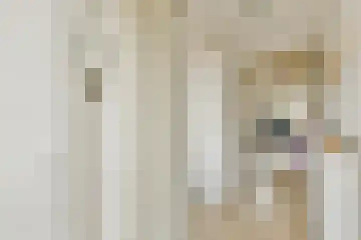Lindenlaan 362 B Amstelveen thumbnail 6