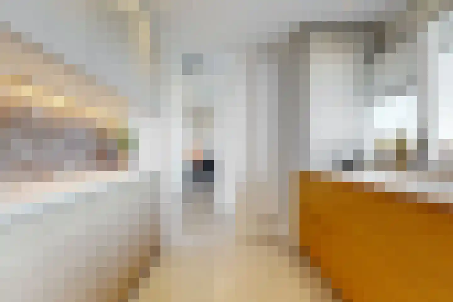 Lindenlaan 364 Amstelveen thumbnail 10