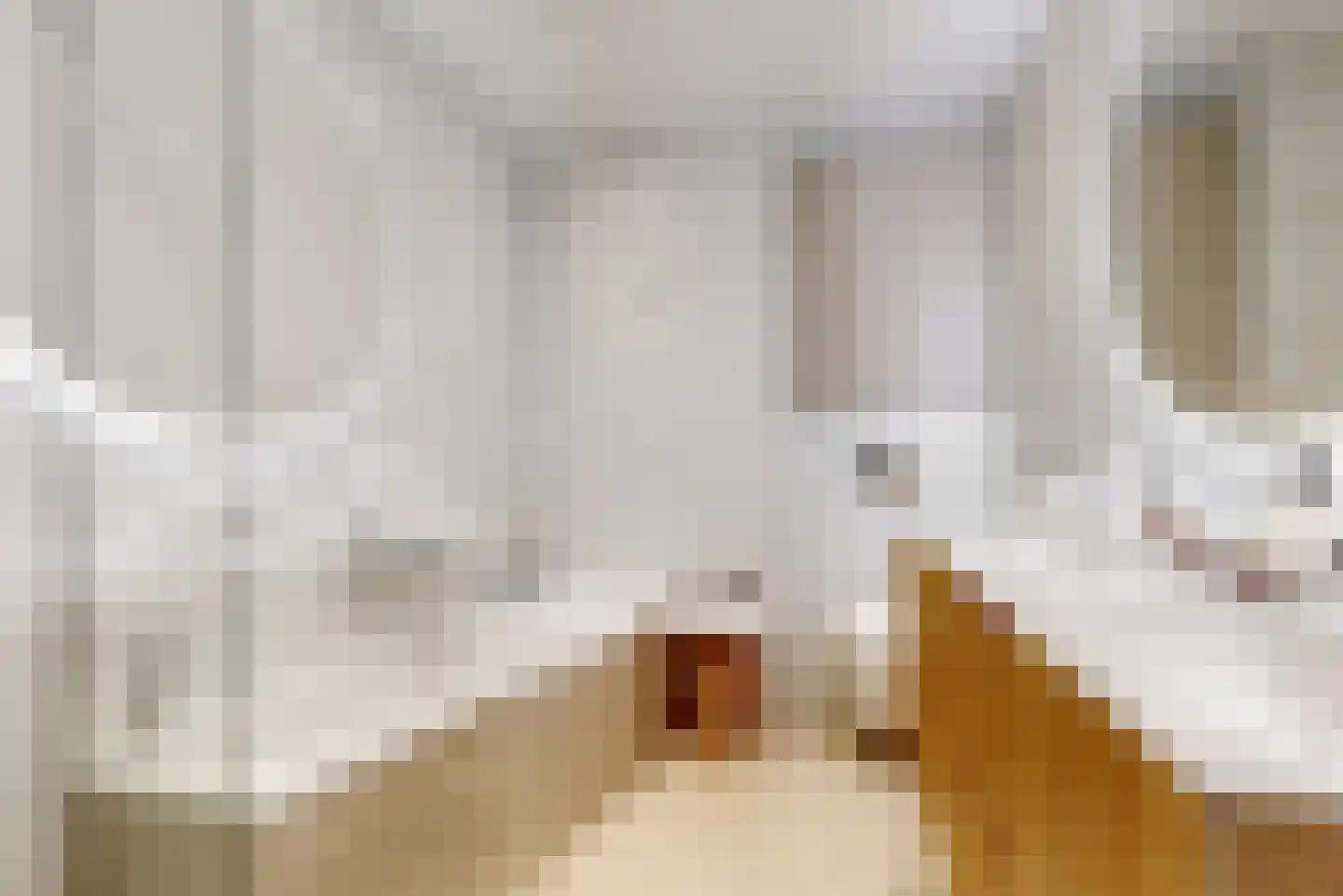 Lindenlaan 364 Amstelveen thumbnail 20