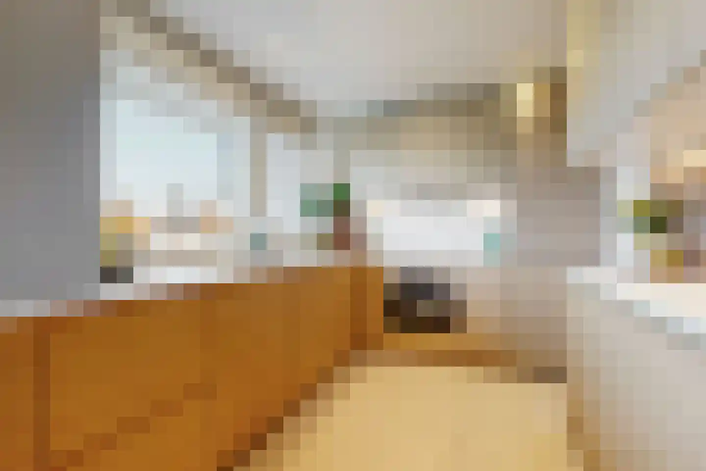 Lindenlaan 364 Amstelveen thumbnail 6