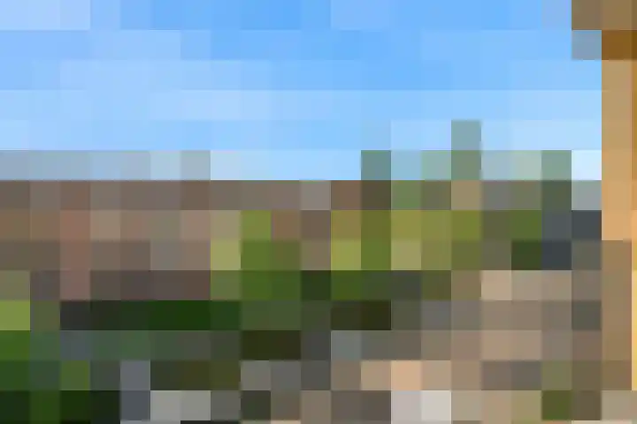 Lindenlaan 368 B Amstelveen thumbnail 8