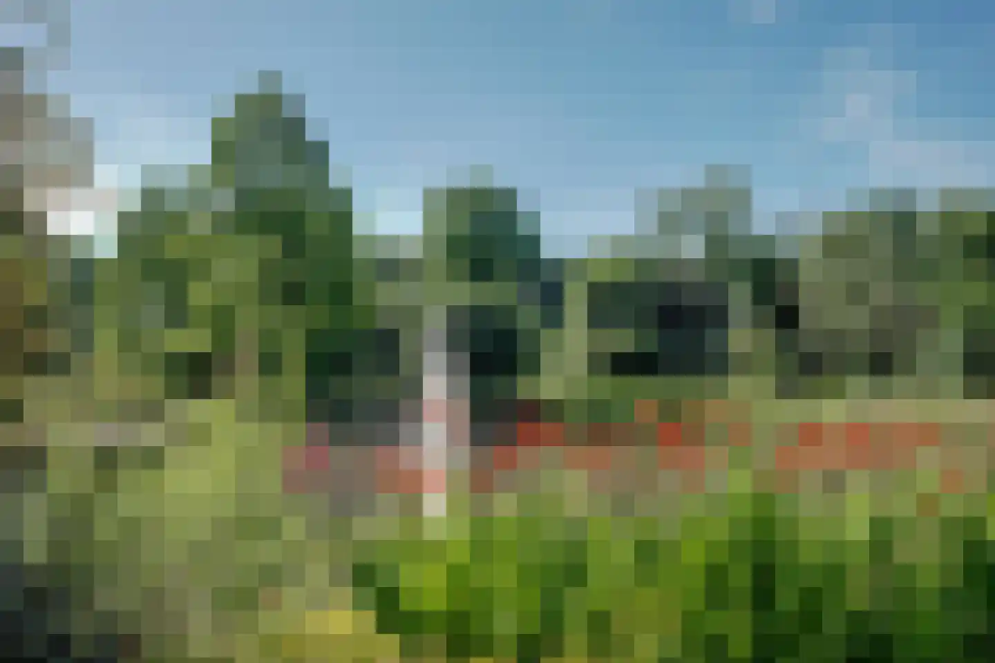 Lindenlaan 38 B Bergen (NH) thumbnail 43
