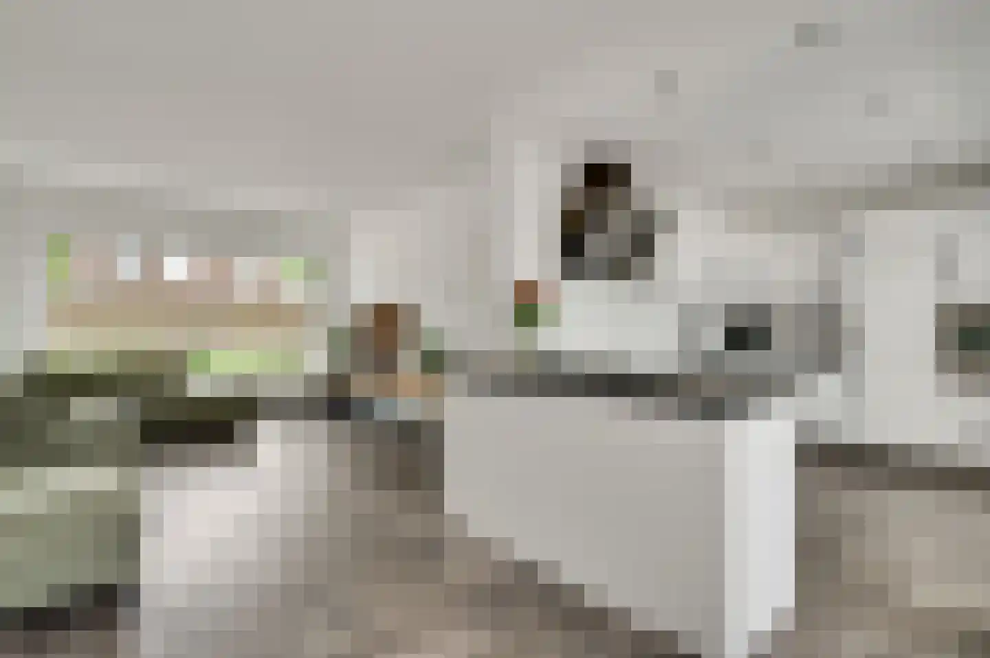 Lindenlaan 38 Bunde thumbnail 6