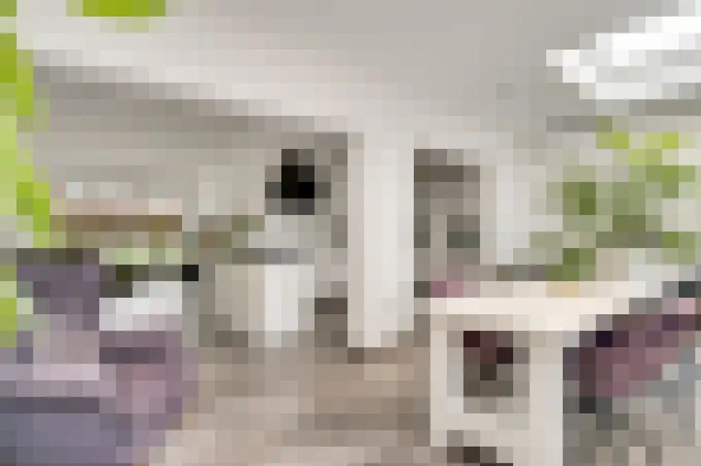 Lindenlaan 38 Bunde thumbnail 7