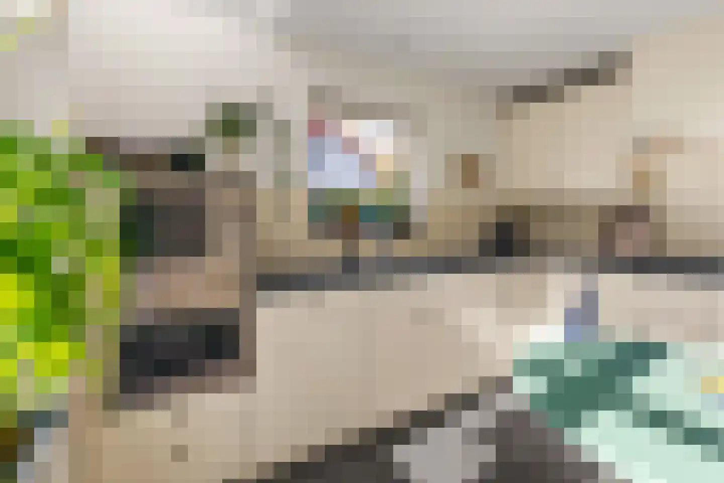 Lindenlaan 38 Zeist thumbnail 15