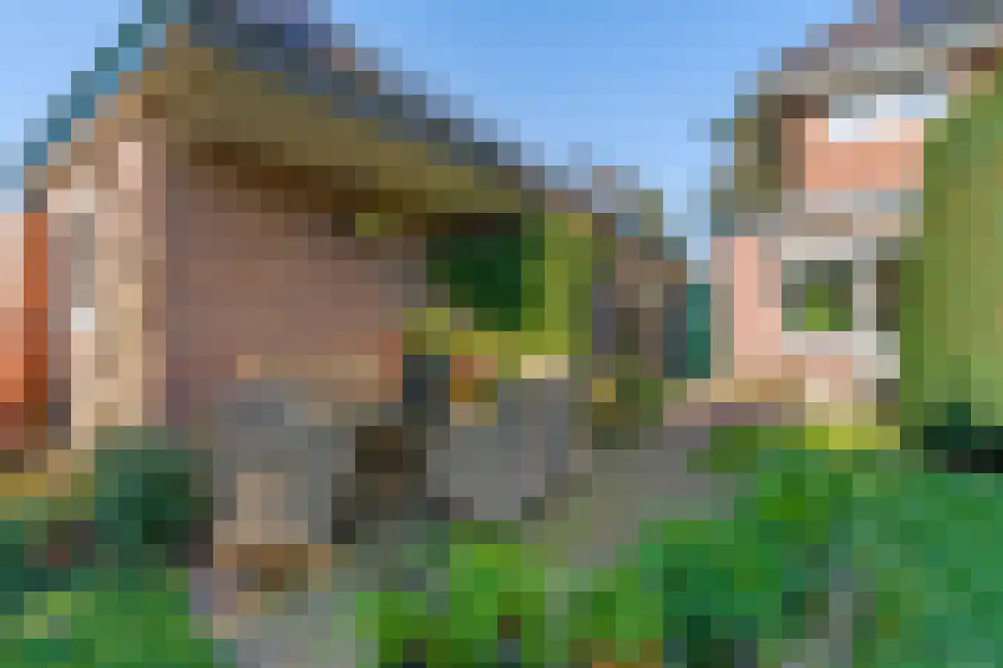 Lindenlaan 38 Zeist thumbnail 18