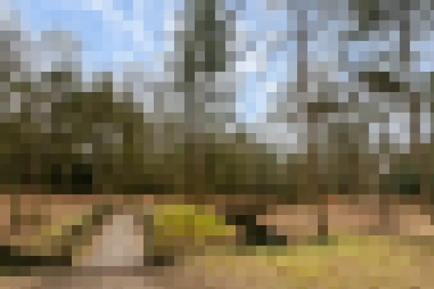 Lindenlaan 38 Zeist thumbnail 41