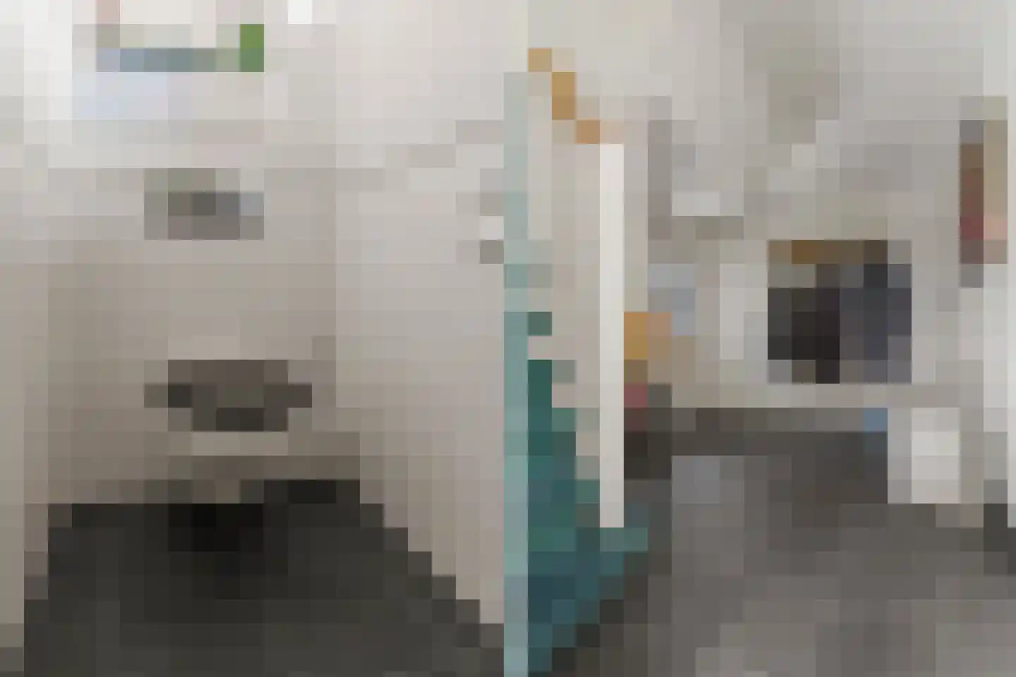 Lindenlaan 38 Zeist thumbnail 7