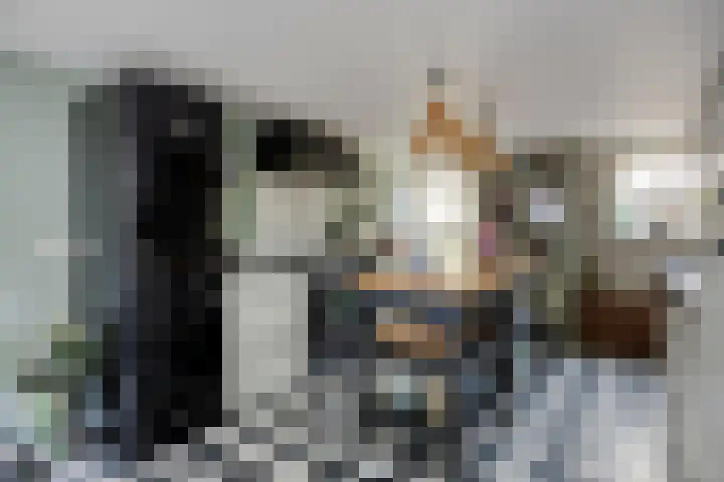 Lindenlaan 39 A Vinkel thumbnail 12