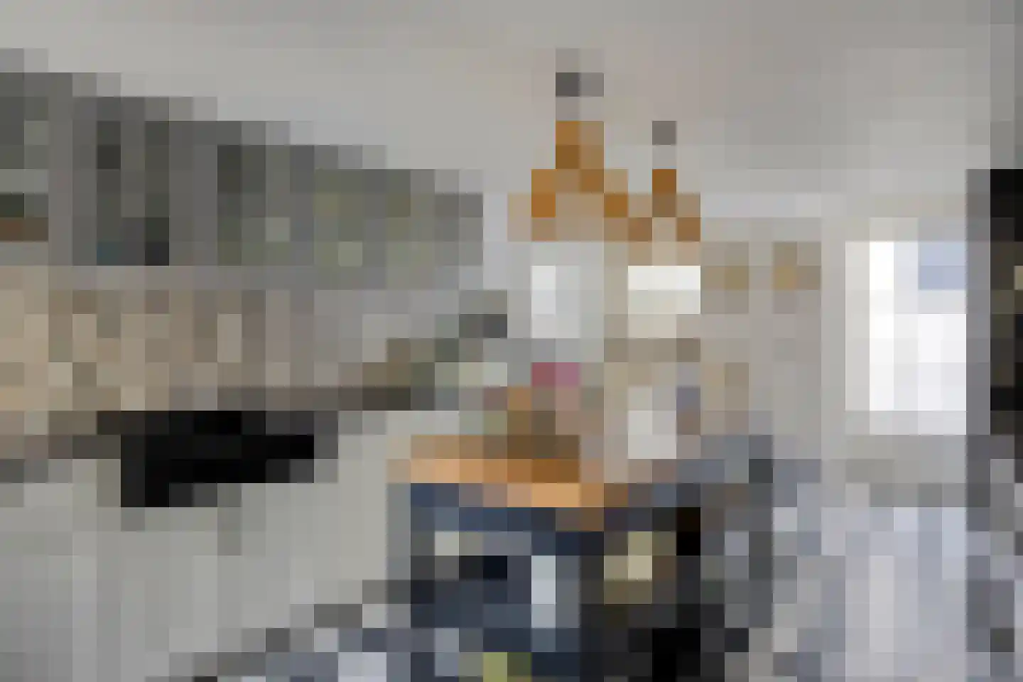 Lindenlaan 39 A Vinkel thumbnail 14