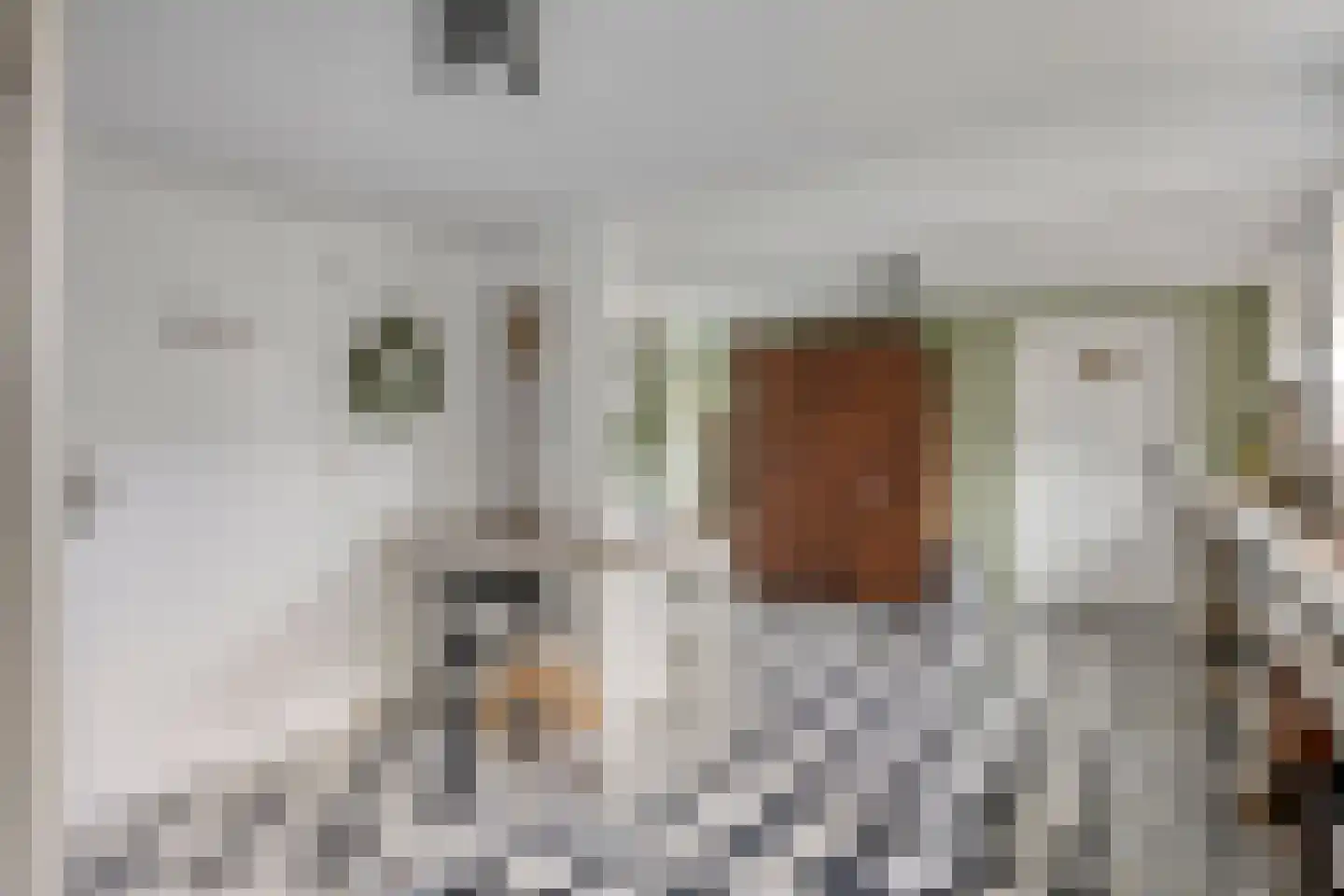 Lindenlaan 39 A Vinkel thumbnail 16