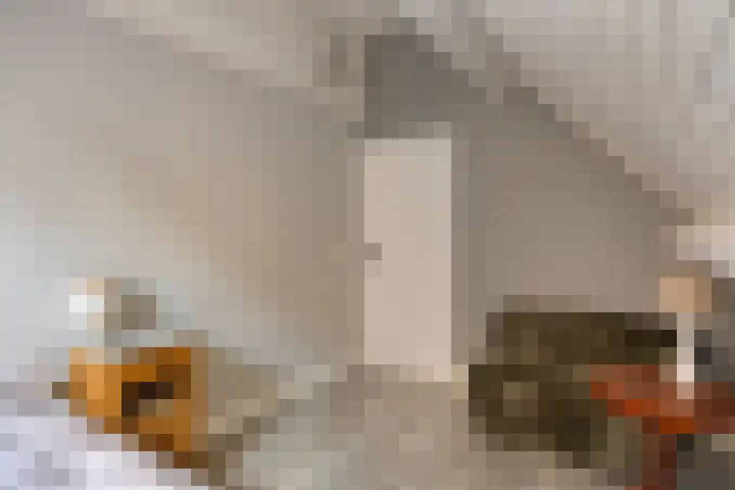 Lindenlaan 39 A Vinkel thumbnail 35