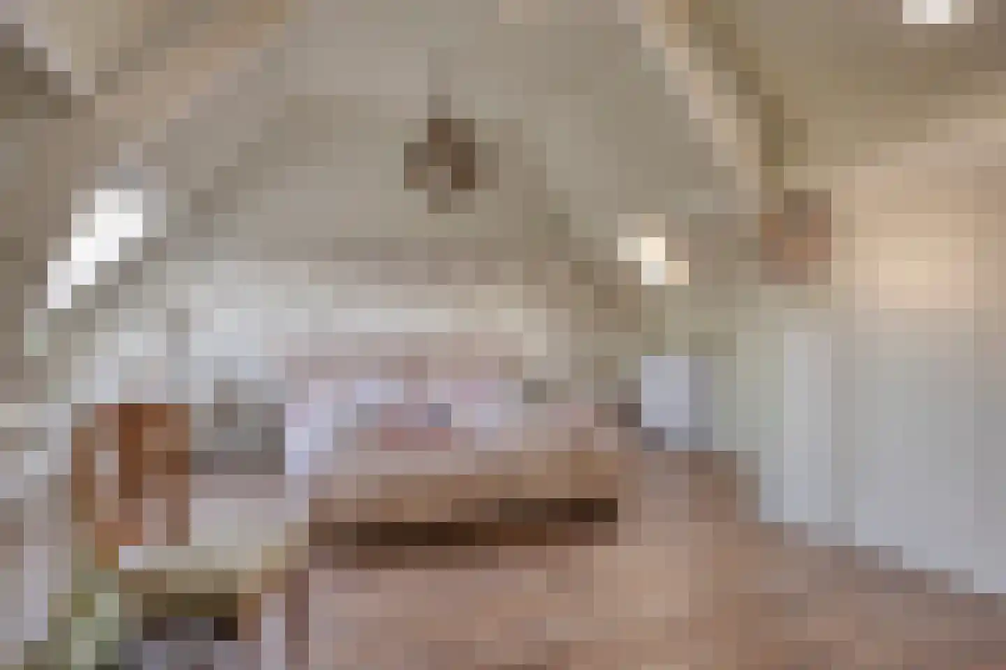 Lindenlaan 39 A Vinkel thumbnail 4