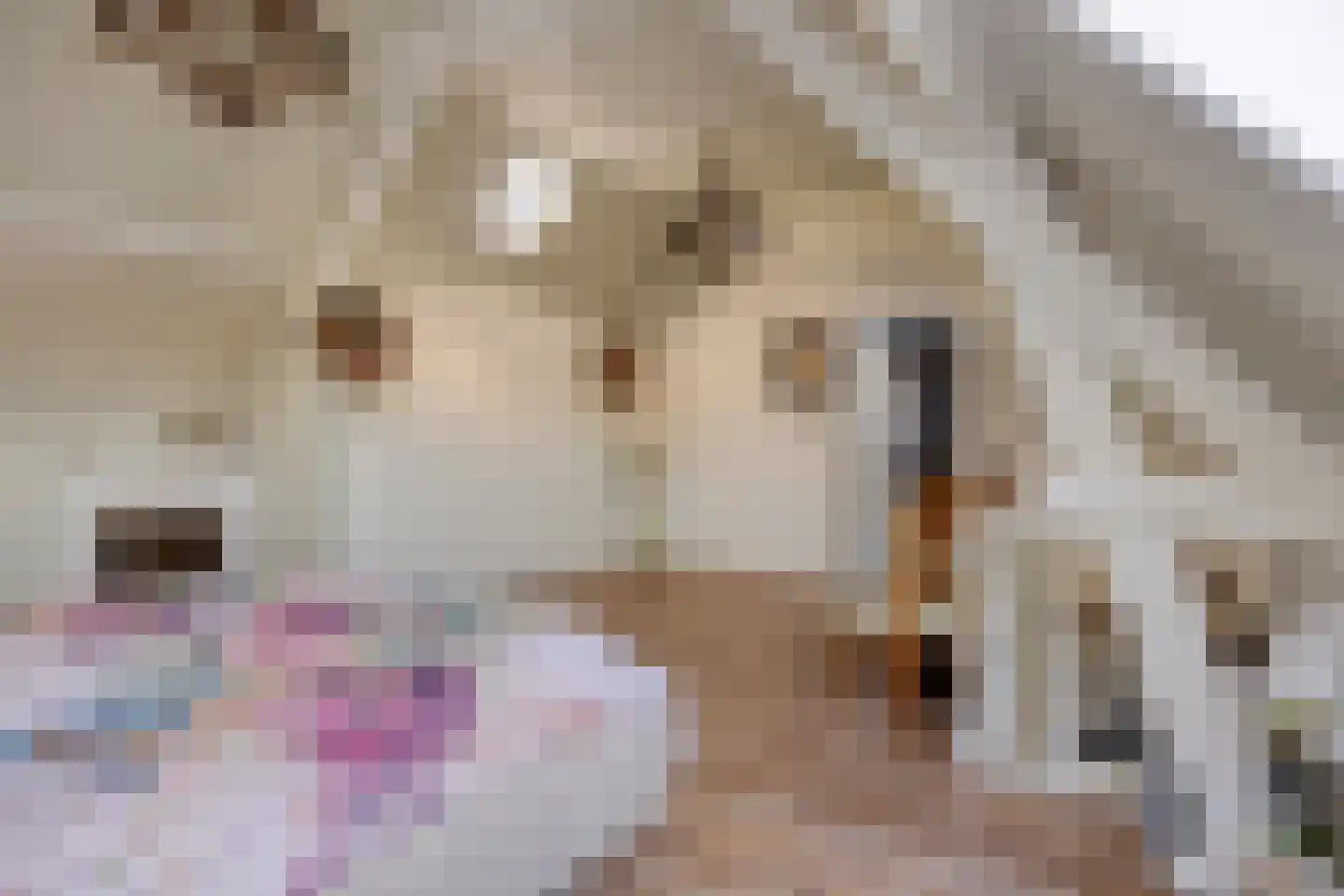 Lindenlaan 39 A Vinkel thumbnail 50