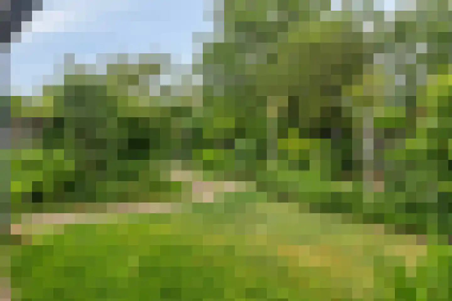 Lindenlaan 39 A Vinkel thumbnail 54