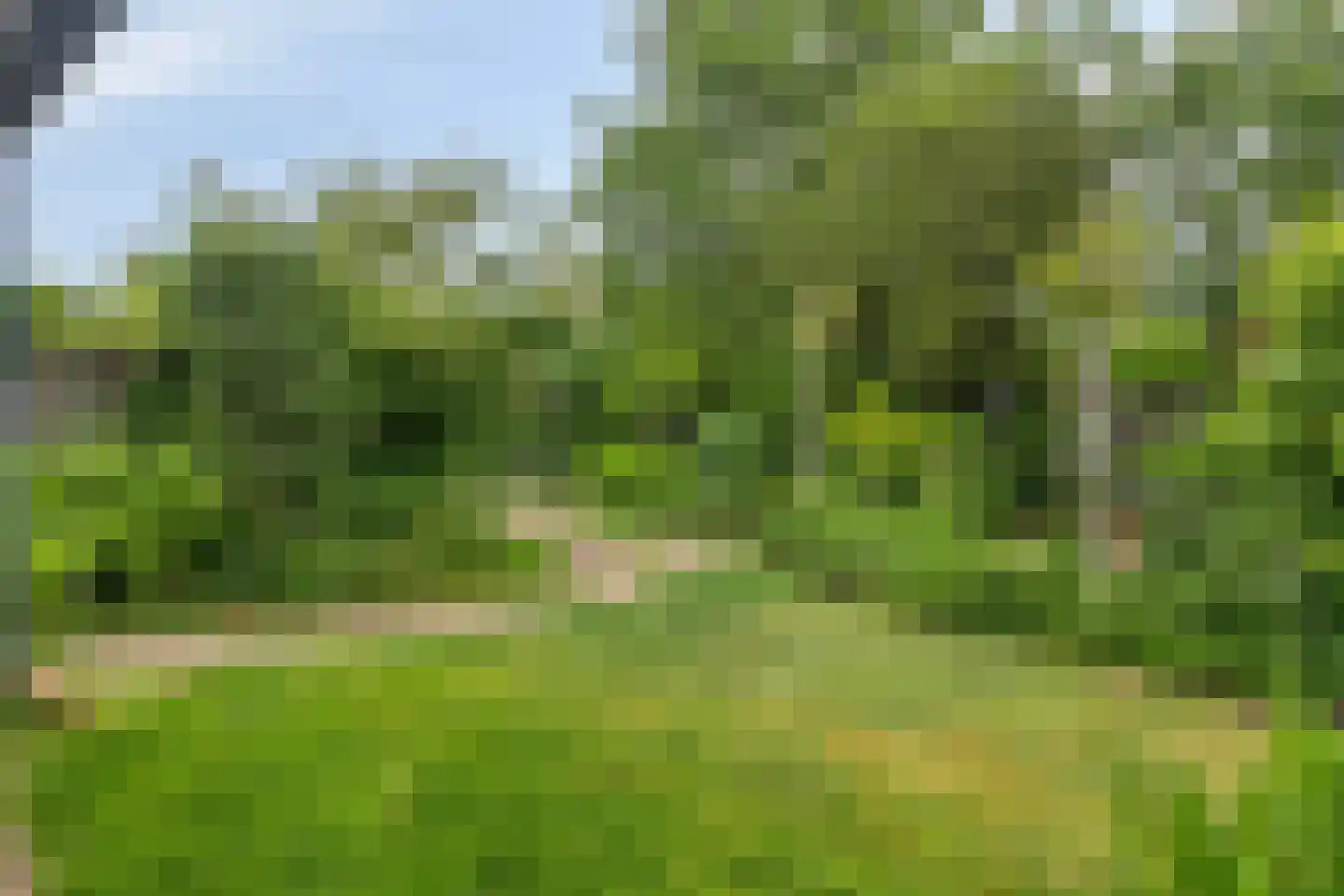 Lindenlaan 39 A Vinkel thumbnail 54