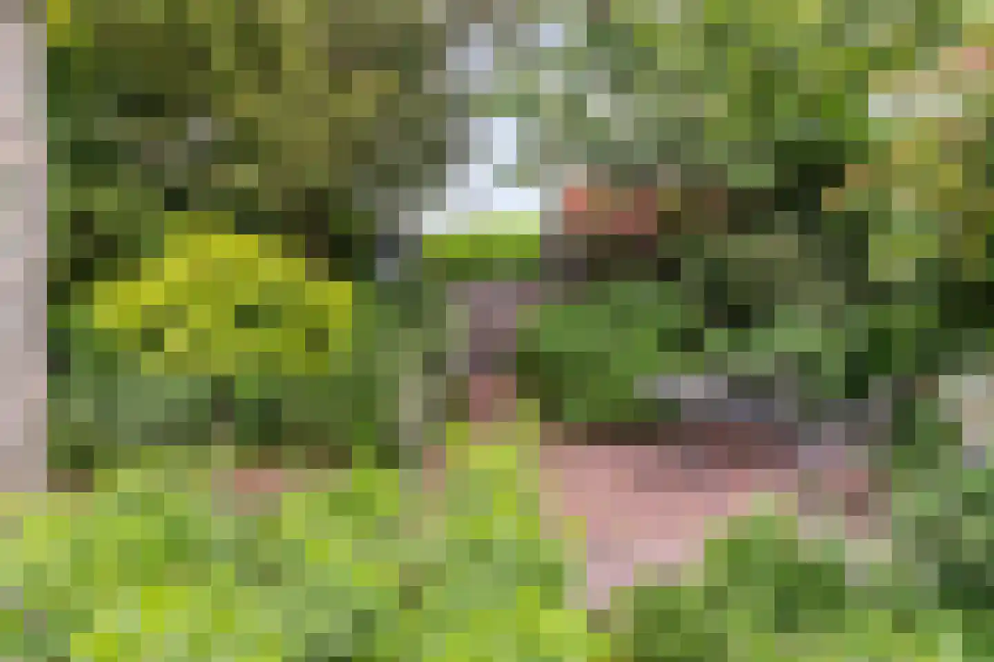Lindenlaan 39 A Vinkel thumbnail 55