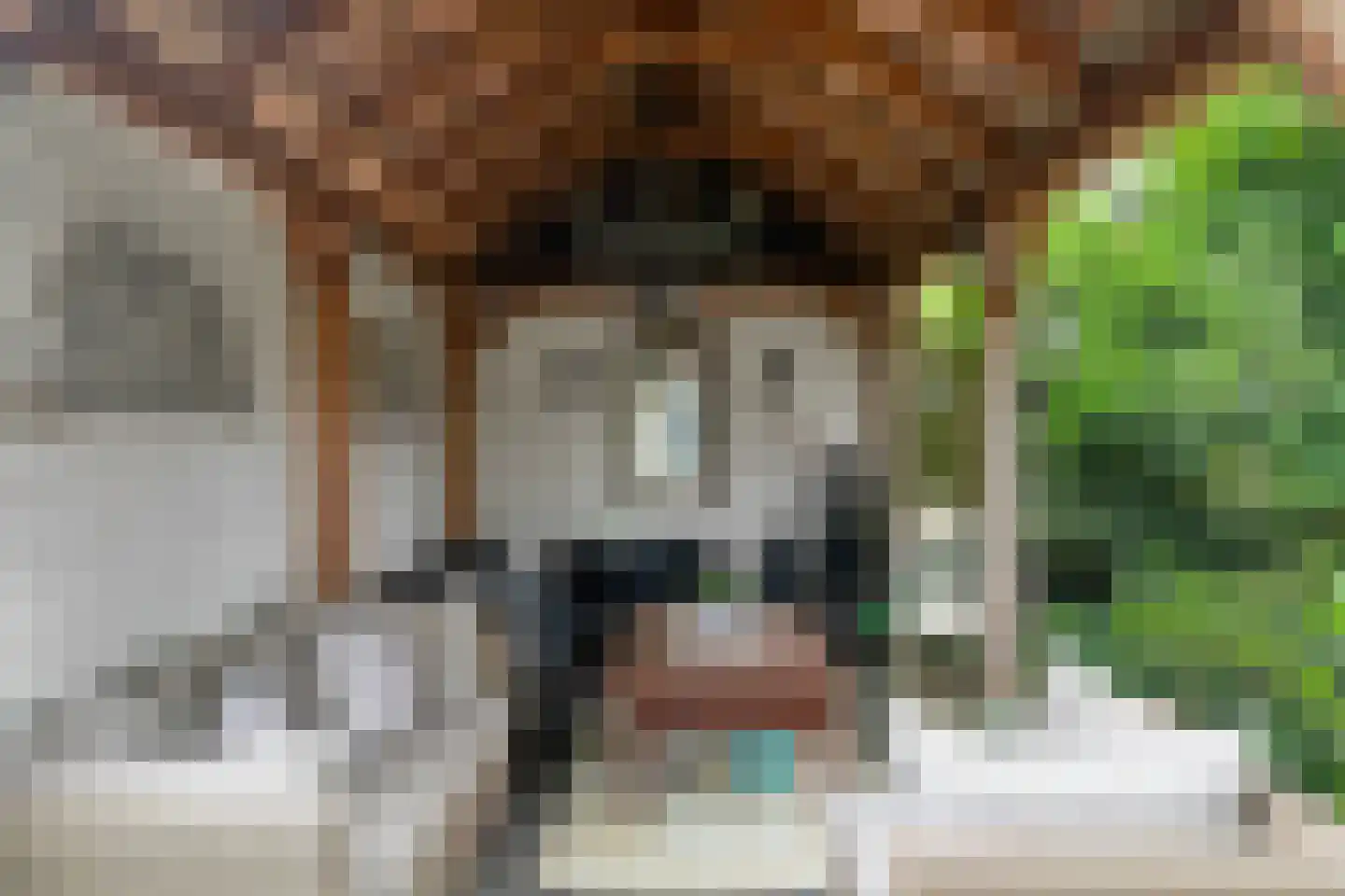 Lindenlaan 39 A Vinkel thumbnail 56