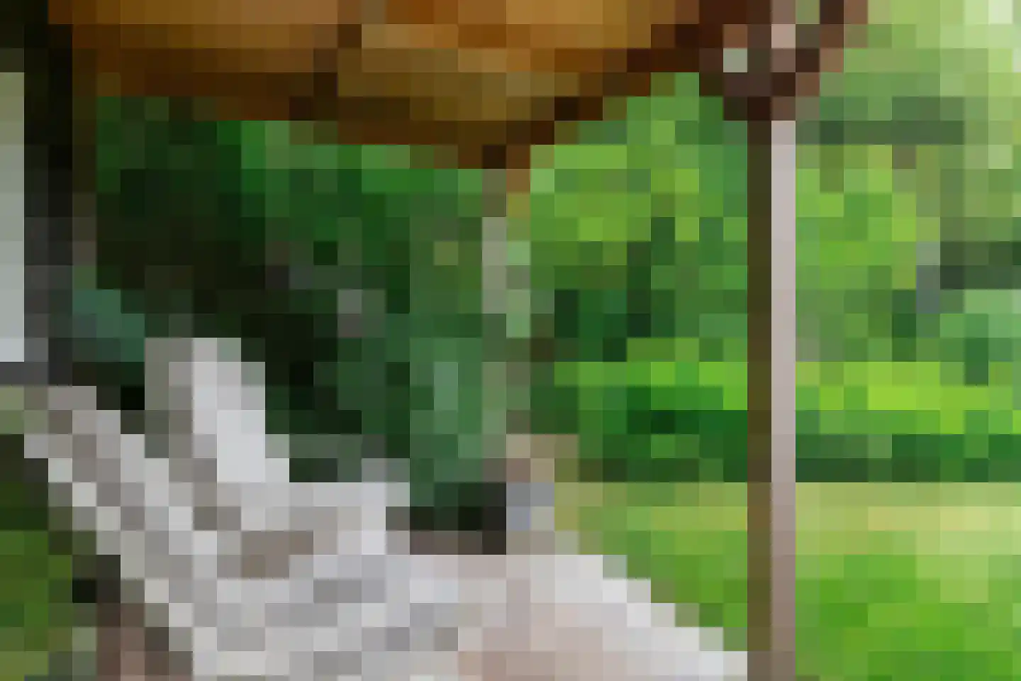 Lindenlaan 39 A Vinkel thumbnail 58