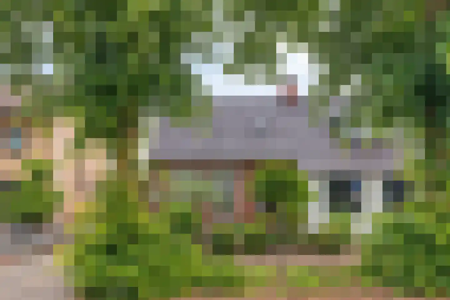 Lindenlaan 39 A Vinkel thumbnail 6