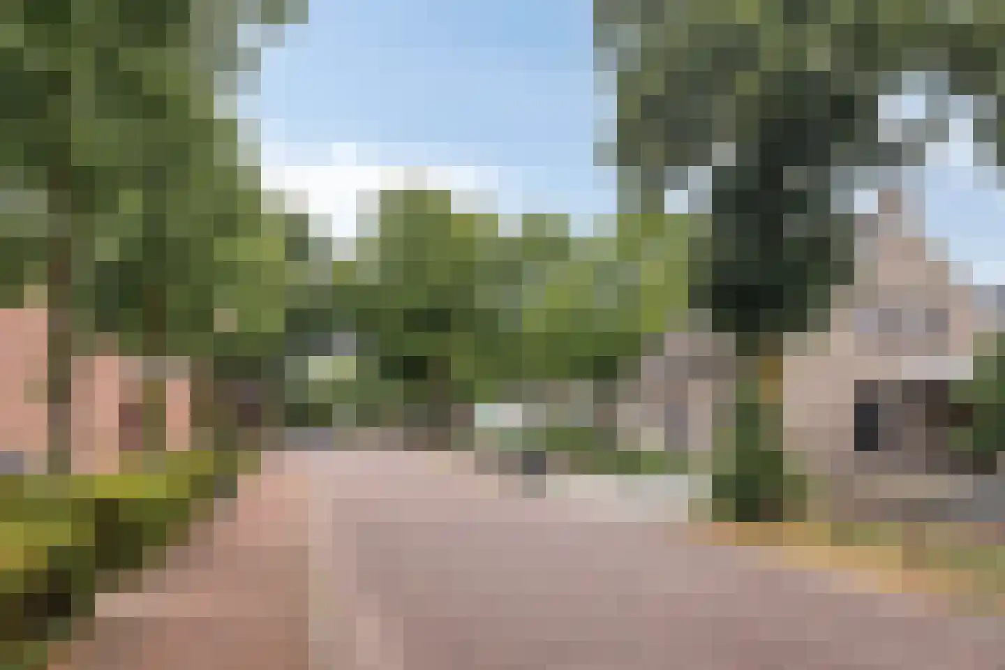 Lindenlaan 39 A Vinkel thumbnail 60