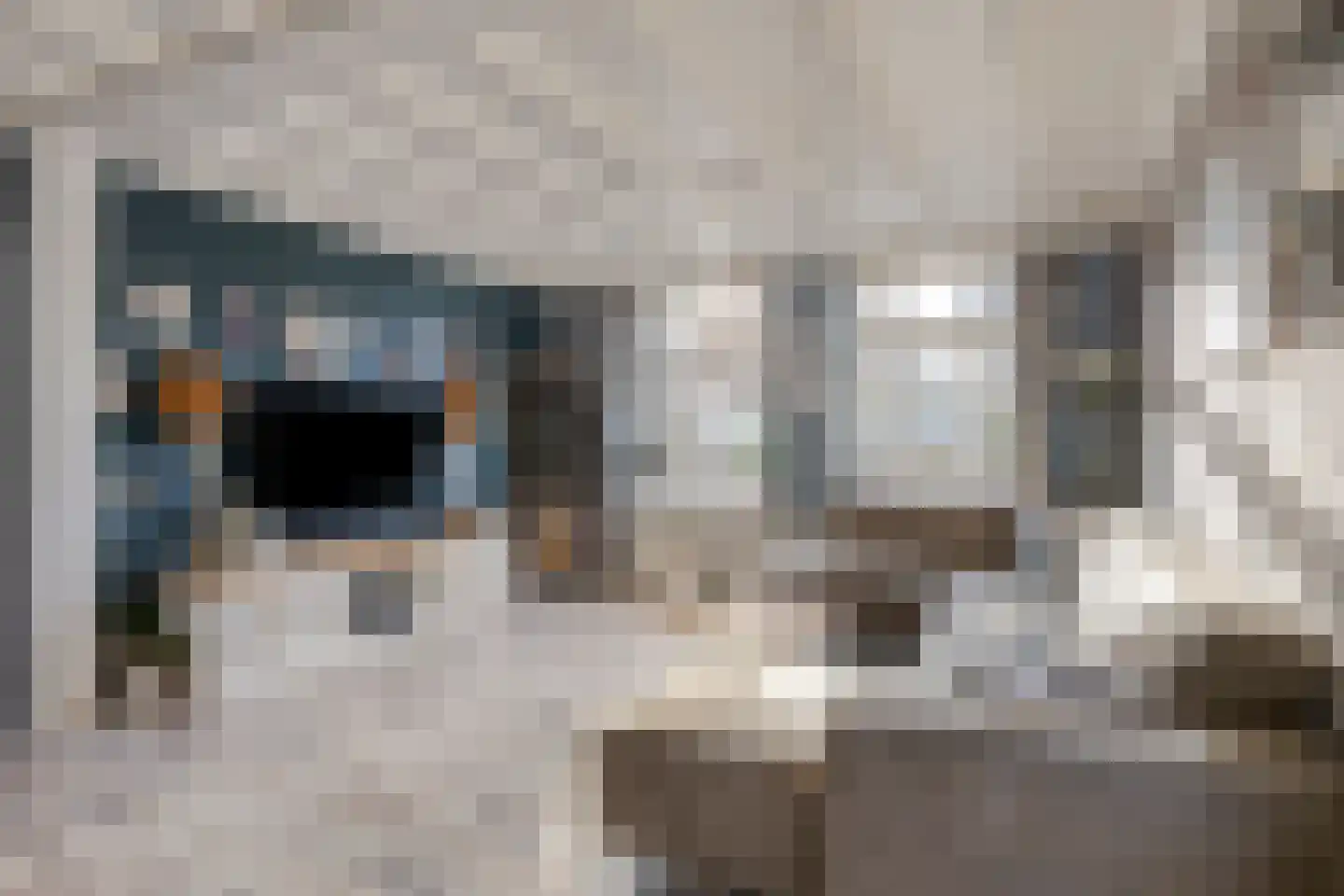 Lindenlaan 39 A Vinkel thumbnail 8