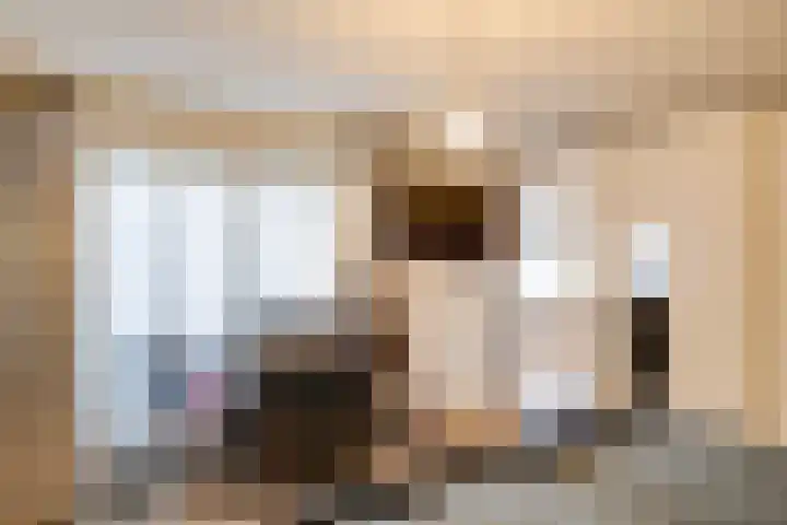 Lindenlaan 39 Deurne thumbnail 12