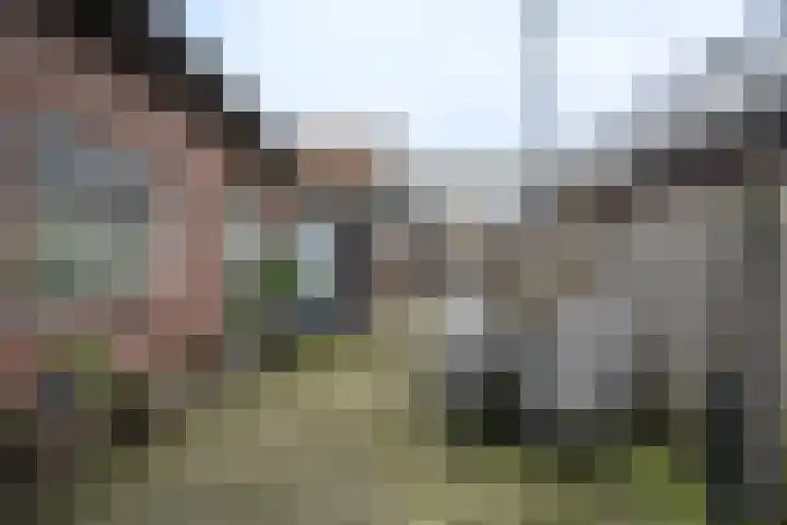 Lindenlaan 39 Deurne thumbnail 16