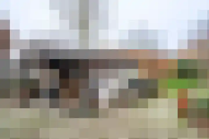 Lindenlaan 39 Deurne thumbnail 17