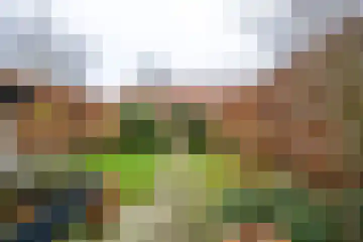 Lindenlaan 39 Deurne thumbnail 18
