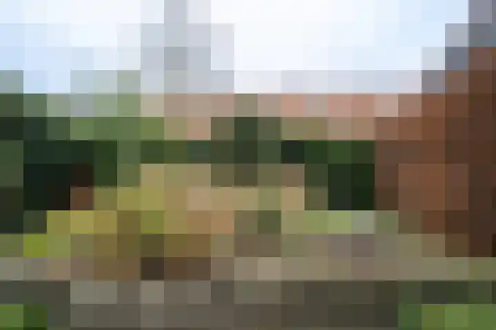 Lindenlaan 39 Deurne thumbnail 19