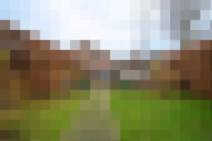 Lindenlaan 39 Deurne thumbnail 20