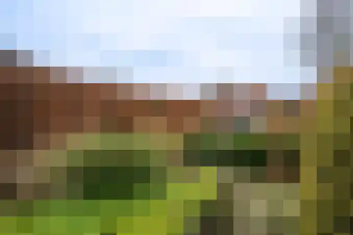 Lindenlaan 39 Deurne thumbnail 21