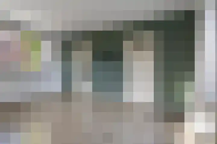 Lindenlaan 4 Bellingwolde thumbnail 10