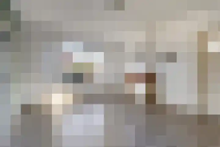 Lindenlaan 4 Bellingwolde thumbnail 12