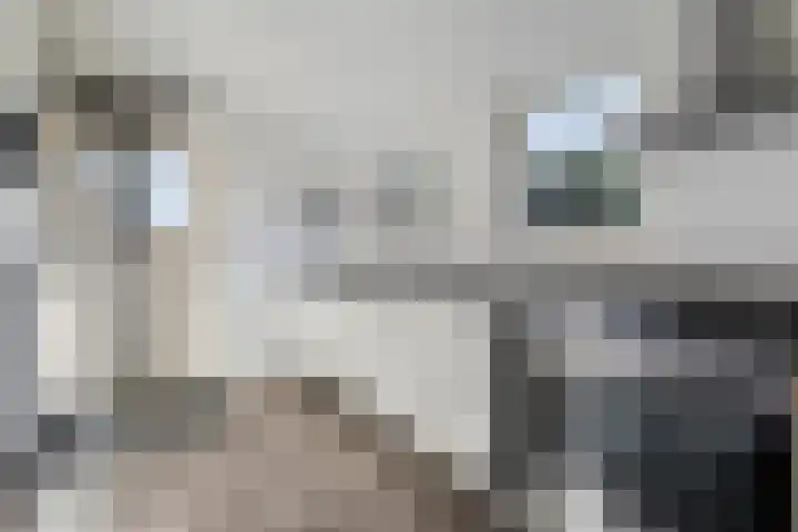 Lindenlaan 4 Bellingwolde thumbnail 16