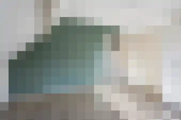Lindenlaan 4 Bellingwolde thumbnail 20