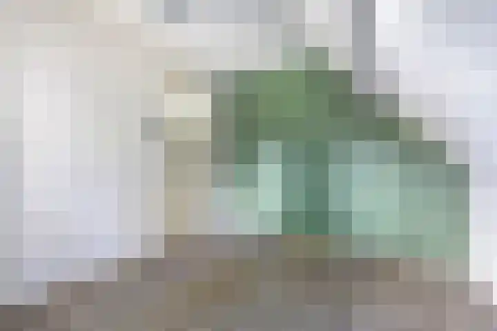 Lindenlaan 4 Bellingwolde thumbnail 22