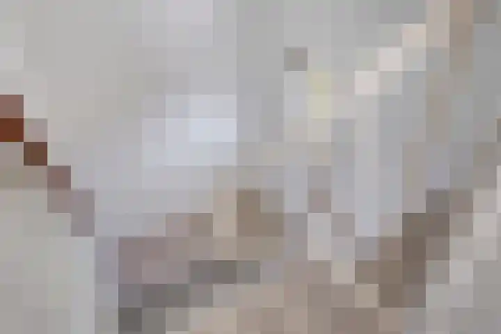 Lindenlaan 4 Bellingwolde thumbnail 23