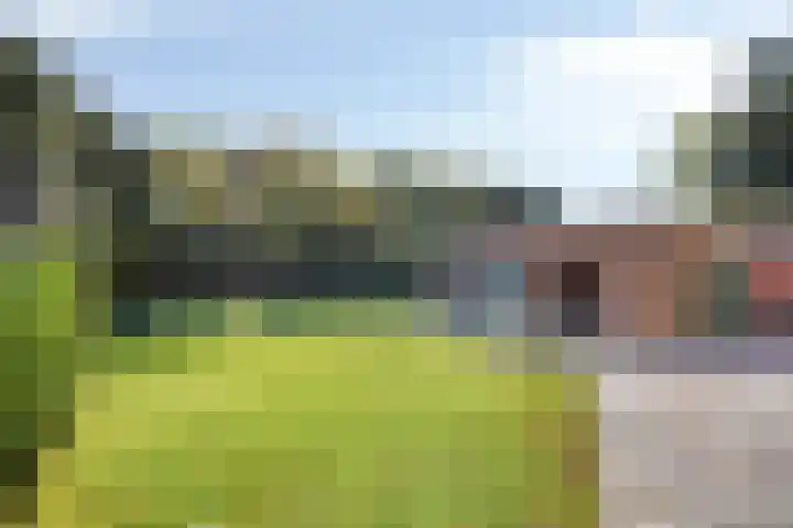 Lindenlaan 4 Bellingwolde thumbnail 24