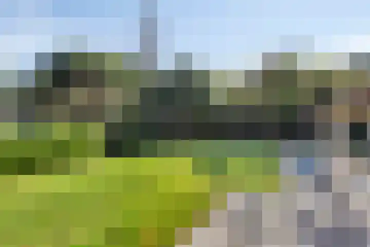 Lindenlaan 4 Bellingwolde thumbnail 25