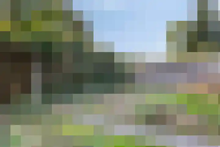 Lindenlaan 4 Bellingwolde thumbnail 28
