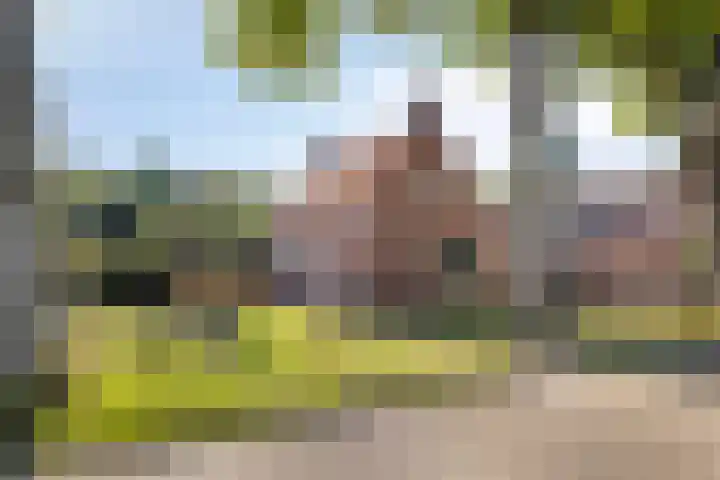 Lindenlaan 4 Bellingwolde thumbnail 5