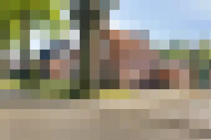 Lindenlaan 4 Bellingwolde thumbnail 6