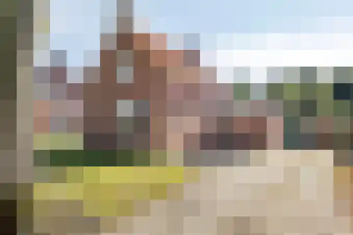 Lindenlaan 4 Bellingwolde thumbnail 7