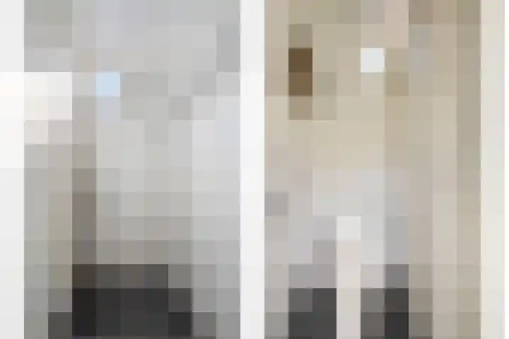 Lindenlaan 4 Bellingwolde thumbnail 8